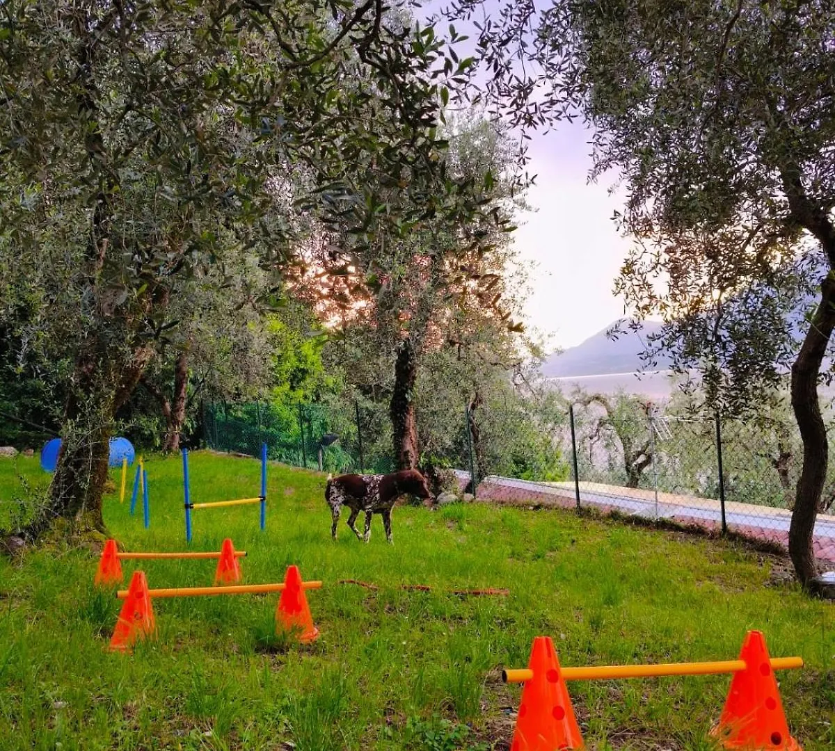 Camping Le Maior Brenzone sul Garda Campsite
