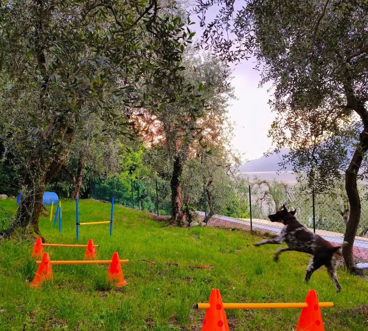 Campsite Camping Le Maior Brenzone sul Garda Italy