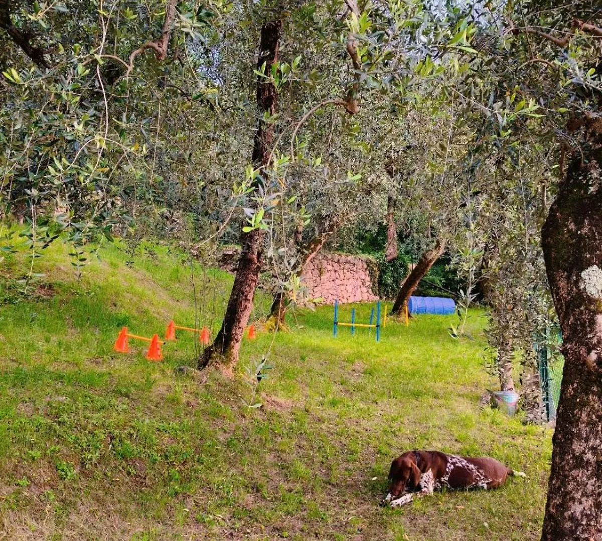 Camping Le Maior Brenzone sul Garda 0*,  Italien