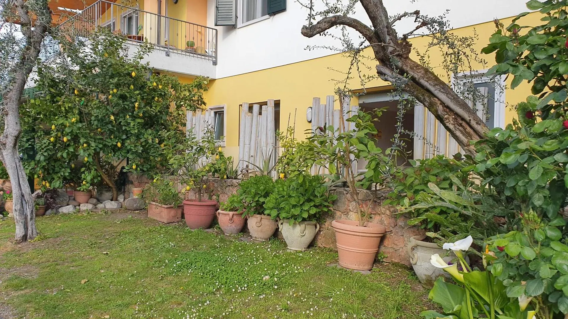 Camping Le Maior Brenzone sul Garda 0*,  Italy